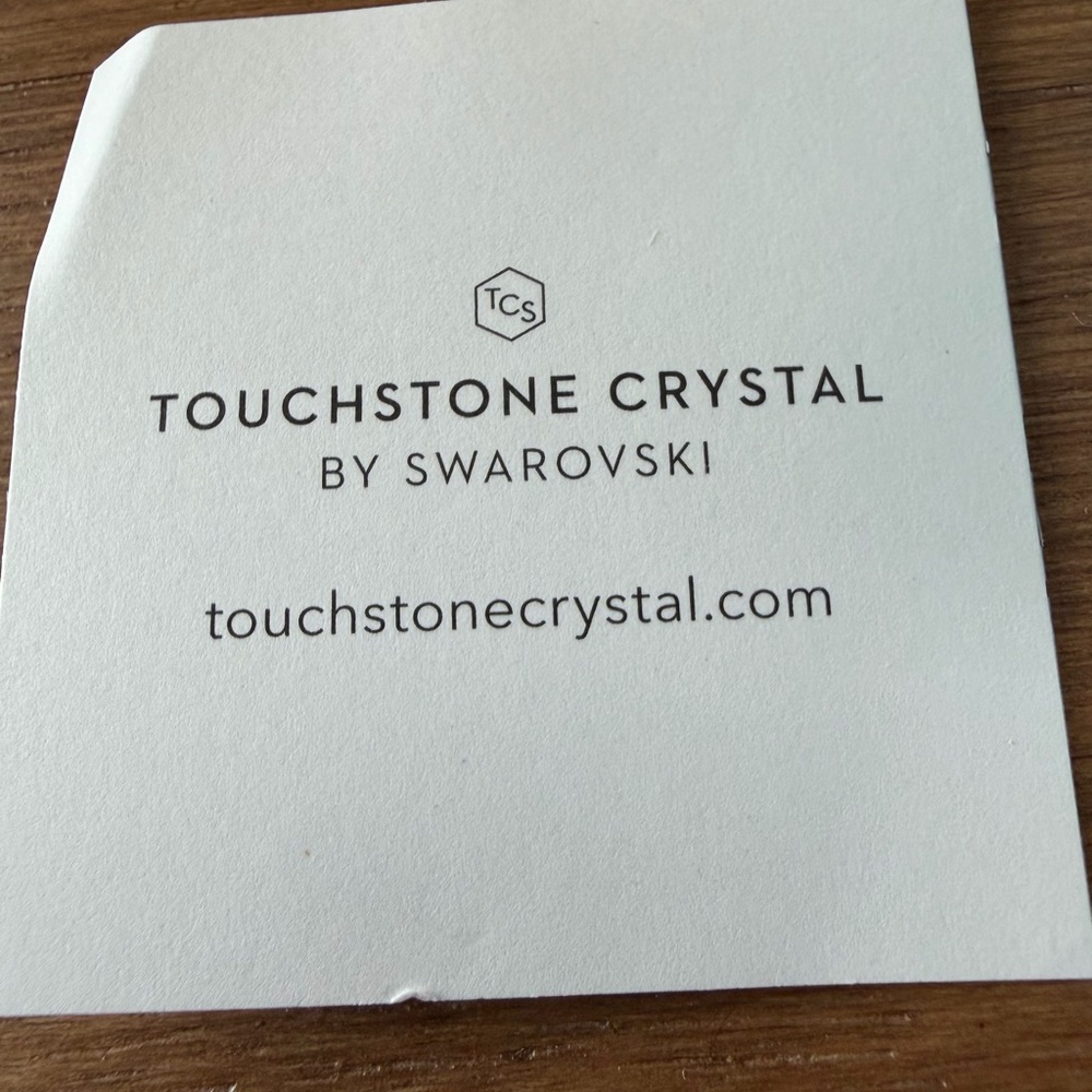 Touchstone Crystal Silver Earrings with Sparkling Accents - Picture 6 of 6